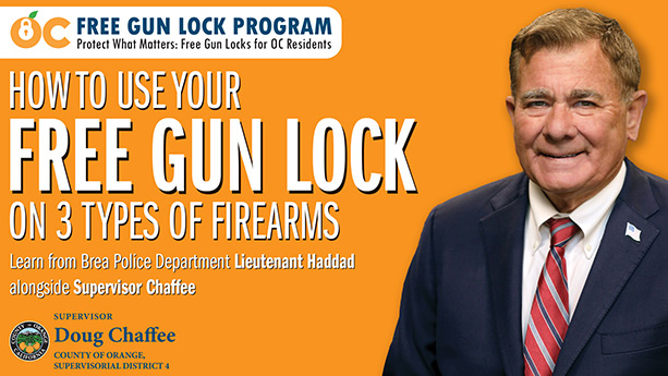D4 Free Gun Lock